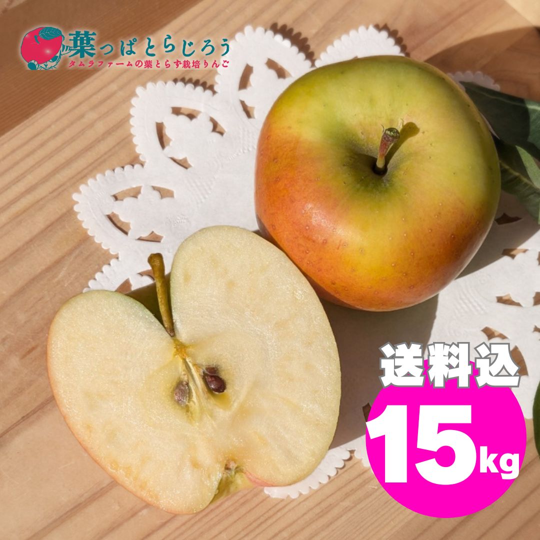 【リンゴ】(2/2)こちらの出品も購入してください。 ぐんま名月葉っぱとらじろうりんご15kg | タムラファームショップ